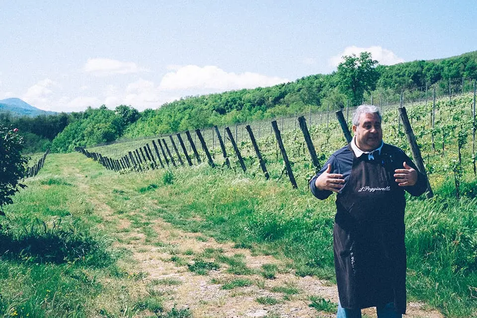 A cheese and wine merchant in a vineyard