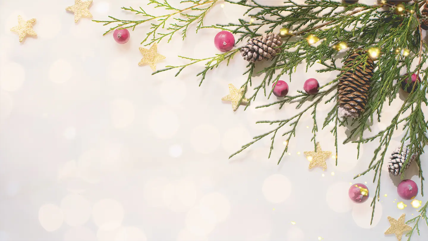Festive pine branches, pine cones, red berries and gold stars on a soft cream background